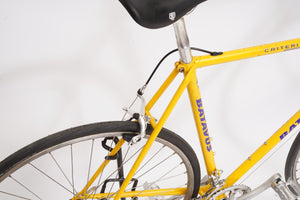 Batavus Criterium