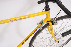 Batavus Criterium