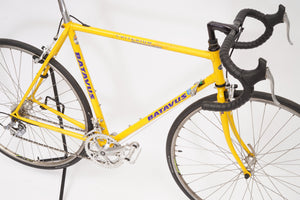 Batavus Criterium