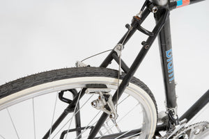 Giant Expedition | Newly Added