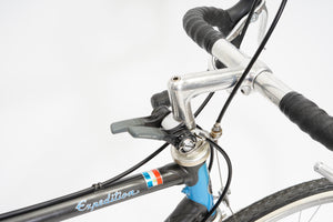 Giant Expedition | Newly Added