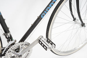 Giant Expedition | Newly Added