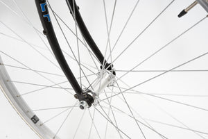 Giant Expedition | Newly Added