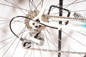 Gazelle Vuelta | NEW