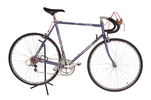 Batavus Equipe | NEW
