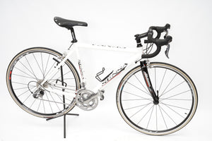 Sensa | Newly Added