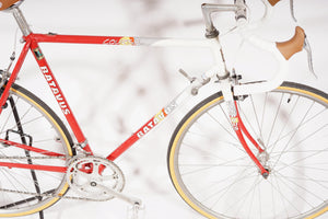 Batavus Course