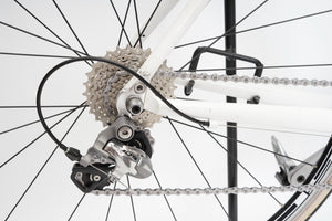 Sensa | Newly Added