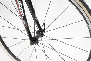 Sensa | Newly Added
