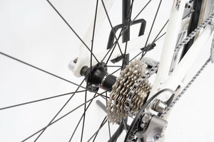 Sensa | Newly Added