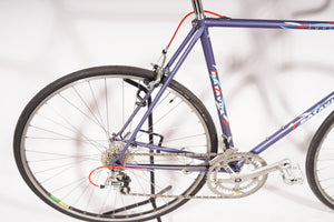 Batavus Equipe | NEW