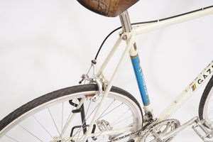 Gazelle Champion Mondial | Newly Added