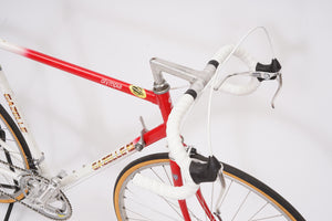 Gazelle Olympia | Newly Added