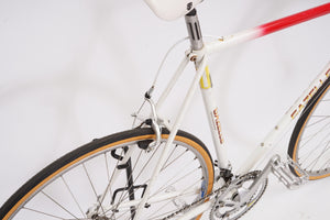 Gazelle Olympia | Newly Added