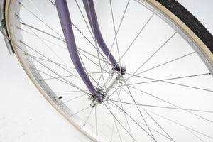 Delcroix (coaster single-speed) | Newly Added