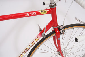 Gazelle Olympia | Newly Added