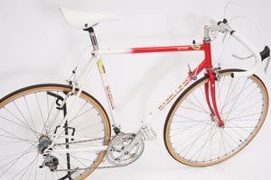 Gazelle Olympia | Newly Added