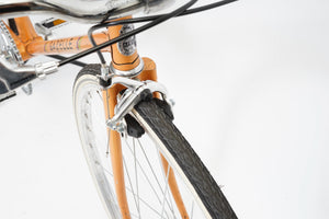 Gazelle Champion Mondial (single-speed) | Newly Added