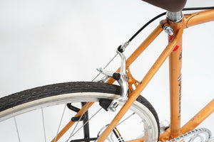 Gazelle Champion Mondial (single-speed) | Newly Added
