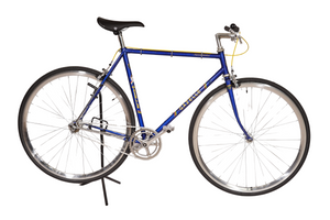 Gazelle Champion Mondial - Single-speed | NEW