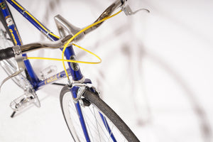 Gazelle Champion Mondial - Single-speed | NEW