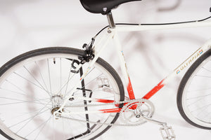 Olympia - Single-speed | NEW
