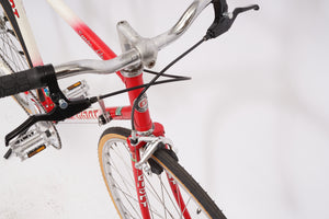 Giant Speeder Lite | Newly Added