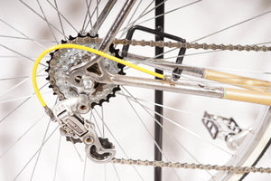 Nishiki | NEW