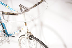 Batavus Champion | NEW
