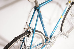 Batavus Champion | NEW