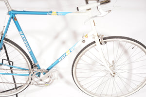 Batavus Champion | NEW
