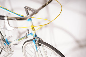Rachel Dard | NEW