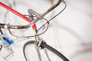 Gazelle Champion Mondial | NEW