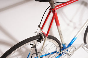 Gazelle Champion Mondial | NEW