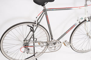 Giant Pacer | Newly Added