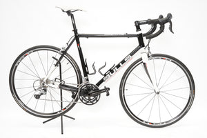 Bulls Desert Falcon | Newly Added