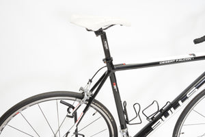 Bulls Desert Falcon | Newly Added