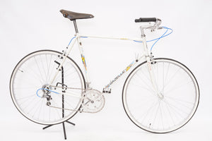 Gazelle Olympia | Newly Added
