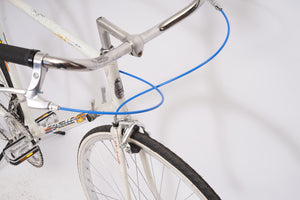 Gazelle Olympia | Newly Added