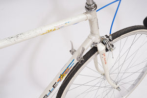 Gazelle Olympia | Newly Added