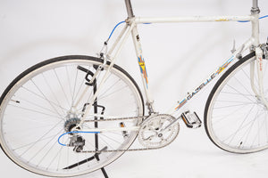 Gazelle Olympia | Newly Added