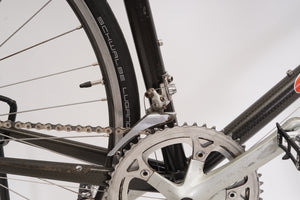 Giant CFR | Newly Added