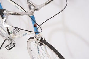Giant Peloton Superlite (single-speed) | Newly Added