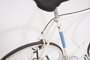 Giant Peloton Superlite (single-speed) | Newly Added