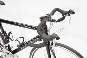 Sensa Prima | Newly Added