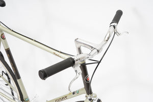 Giant Peloton (single-speed) | Newly Added