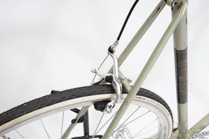 Giant Peloton (single-speed) | Newly Added