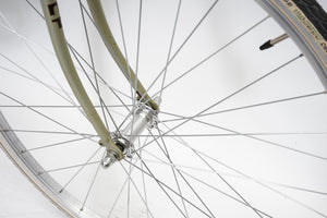 Giant Peloton (single-speed) | Newly Added