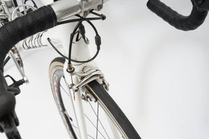 Isaac Graviton | Newly Added