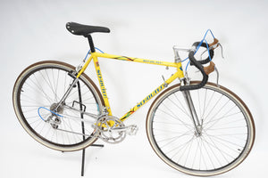 Schouten | Newly Added